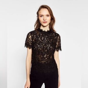 Black embroidered lace sheer top